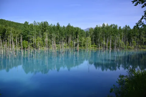 Biei — ao xanh Shirogane & đồi patchwork Hokkaido