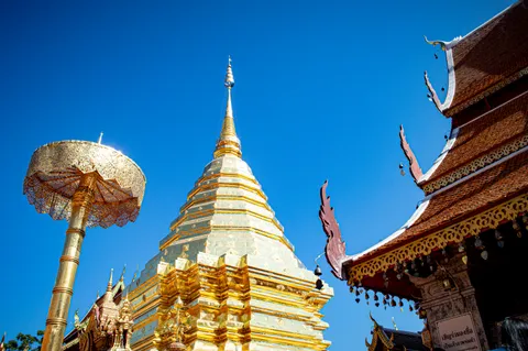 Du lịch Chiang Mai 2026 — đền chùa, chợ đêm, cà phê, voi