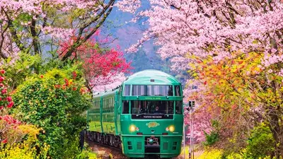 Chi phí du lịch Fukuoka, Kyushu 2026 tổng hợp mọi khoản