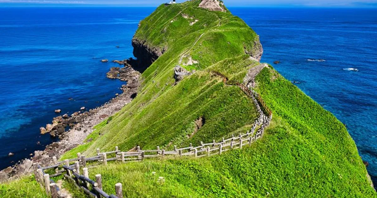 Lịch trình Hokkaido 5 ngày — Sapporo, Otaru, Biei, Furano
