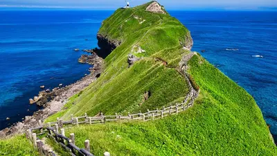 Lịch trình Hokkaido 5 ngày — Sapporo, Otaru, Biei, Furano