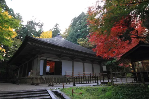 Hiraizumi — chùa vàng Chusonji, vườn Phật Motsuji và di sản