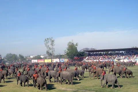 Làng voi Ban Ta Klang, Surin — Cẩm nang du lịch & lễ hội voi