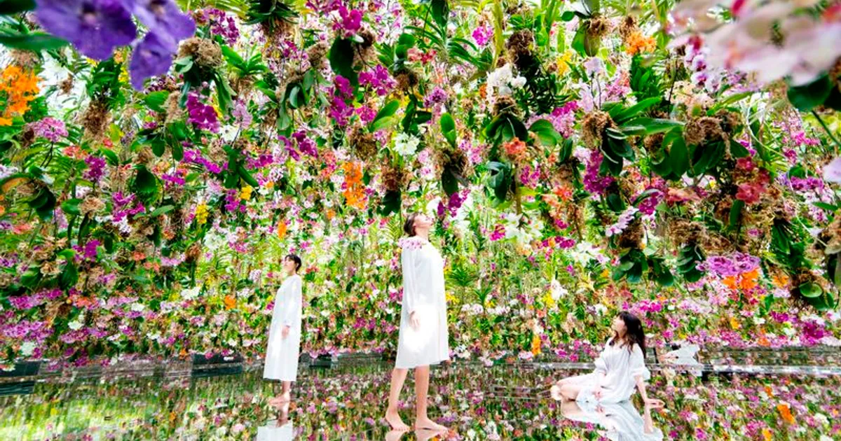 teamLab Borderless vs Planets 2026 — Nên đi đâu cho đáng?